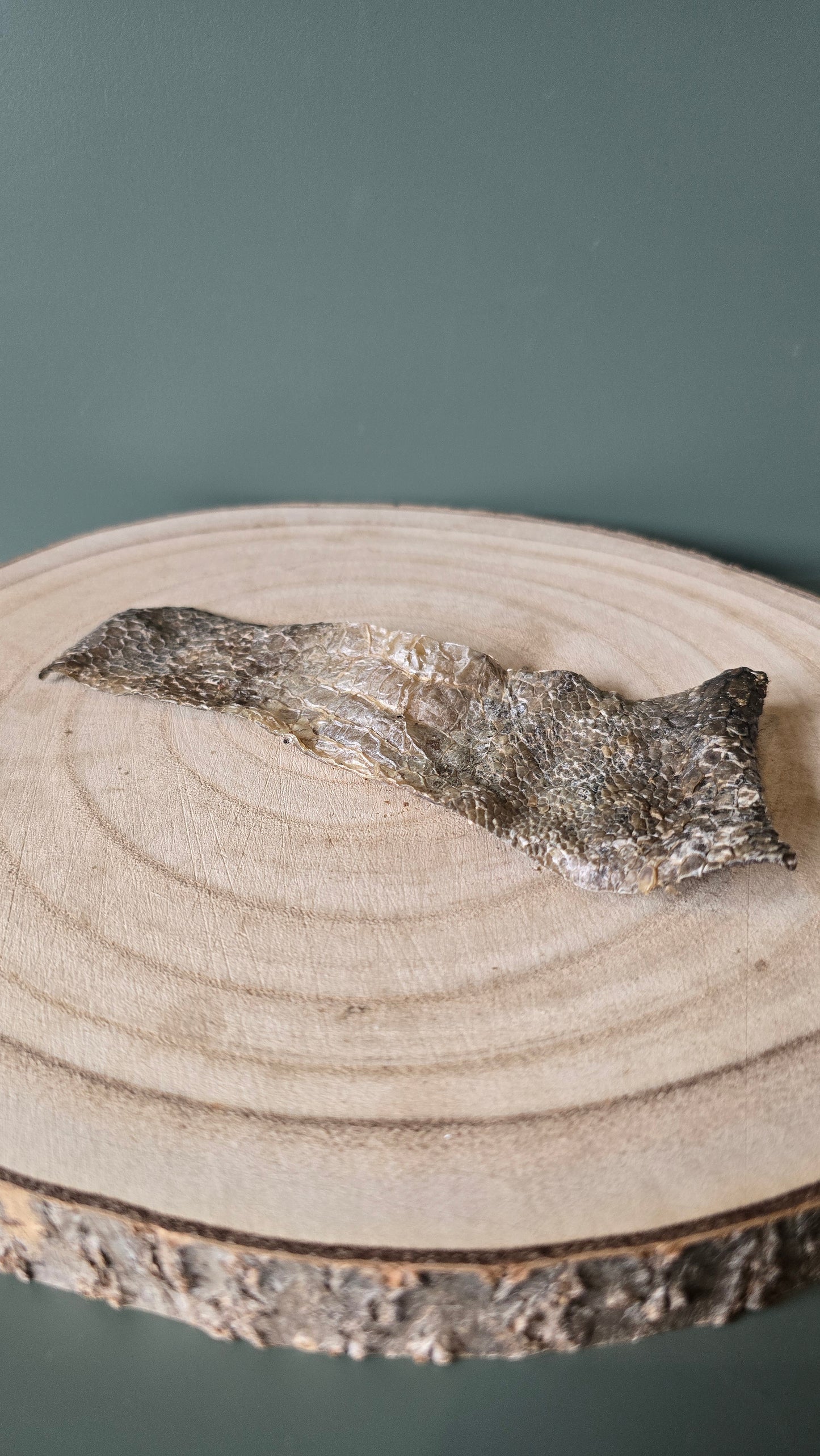 Ostrich Collagen Skin Slice